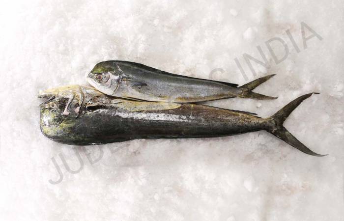 mahimahi