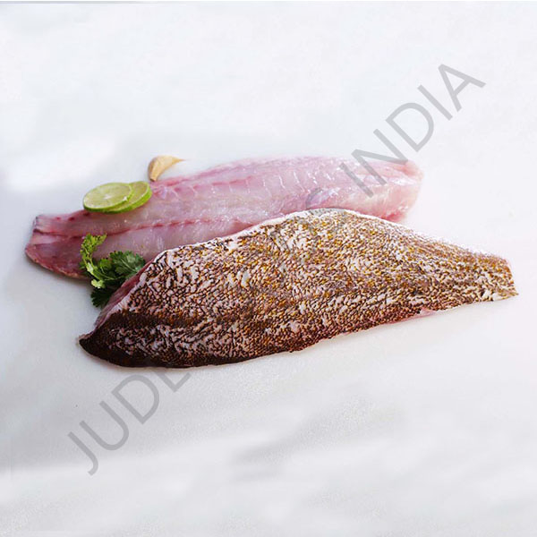 fillet